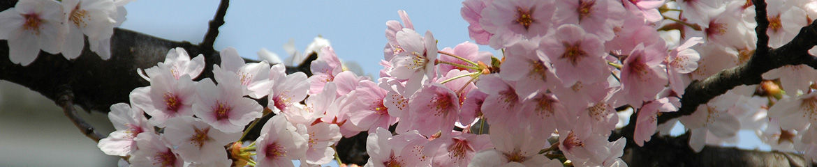 TitlePhoto
